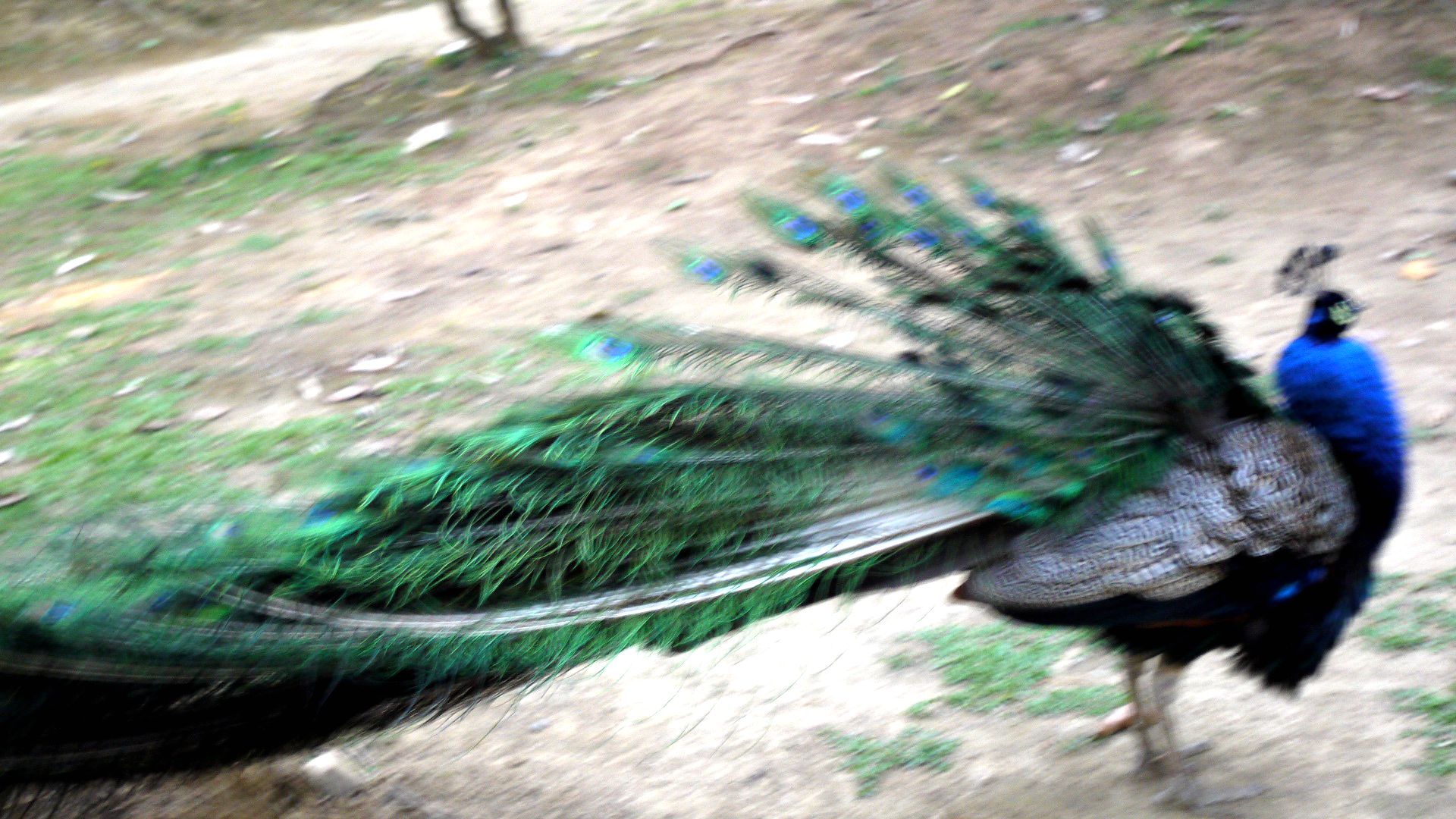 P1180026_.jpg