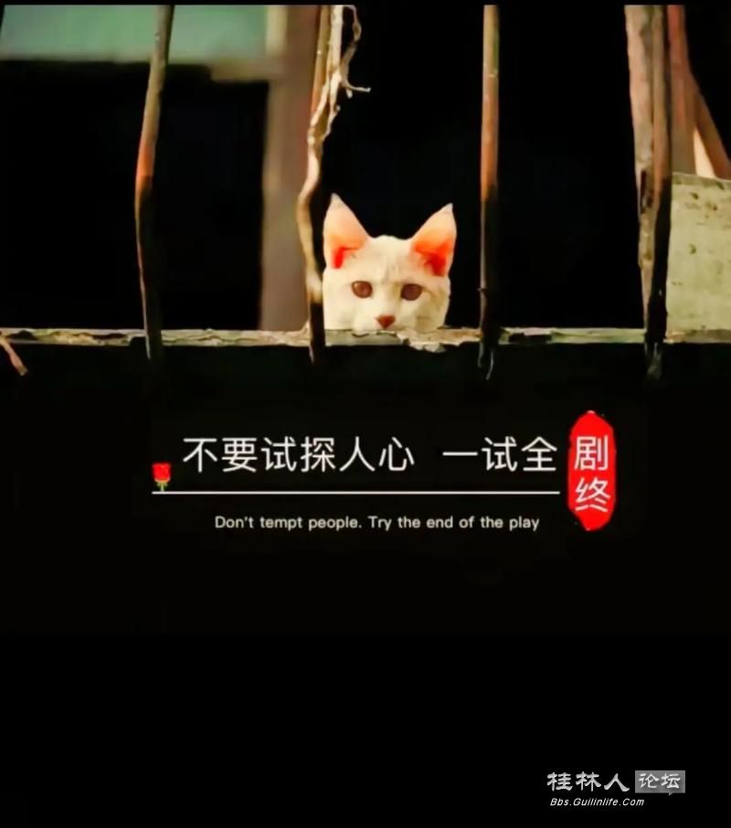 u=2034274309,3325958494&fm=253&app=138&f=JPEG.jpg