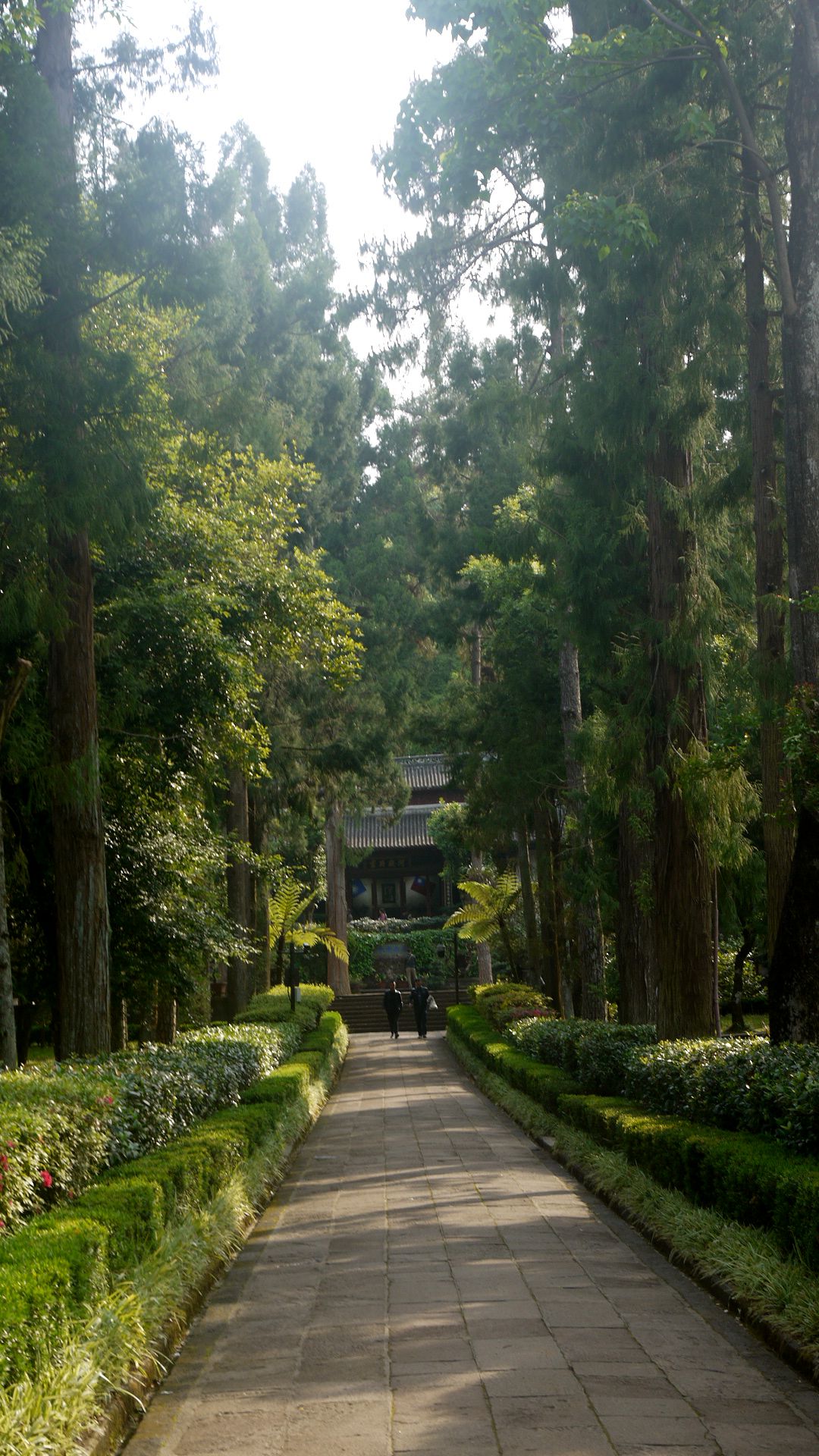 P1180135_.jpg