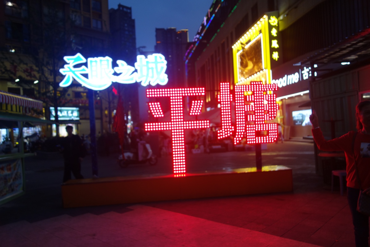 DSC08641.JPG