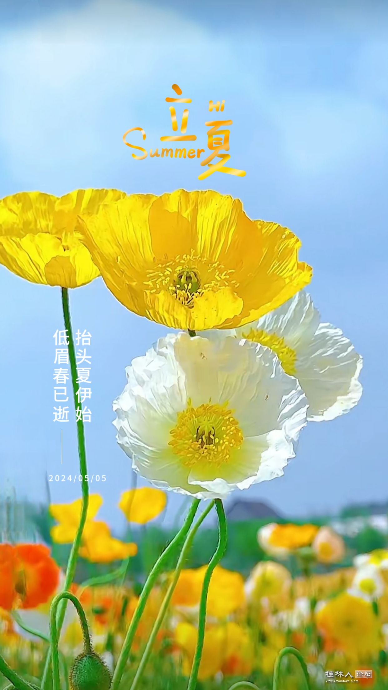 59aa07d75b855da5bf57b89f7d135a29466.jpeg