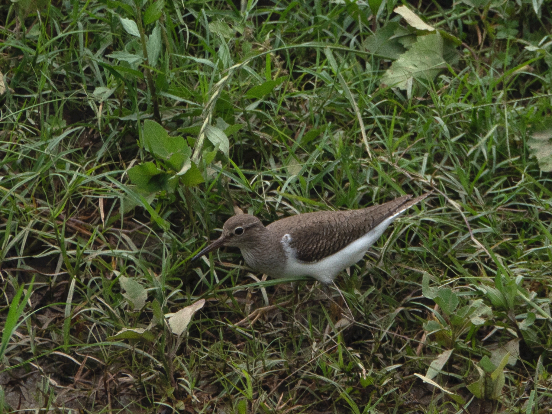 DSC01898_.jpg