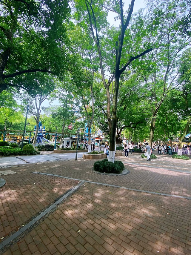 80.jpg
