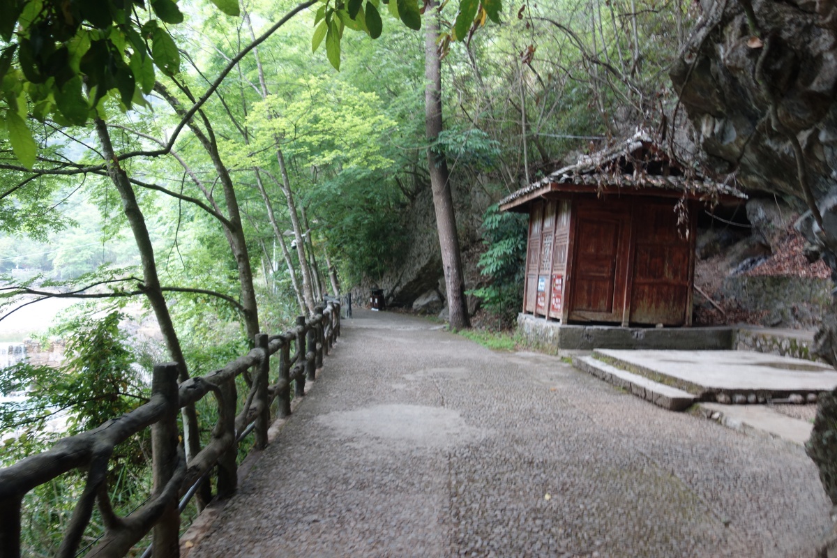 DSC08577.JPG
