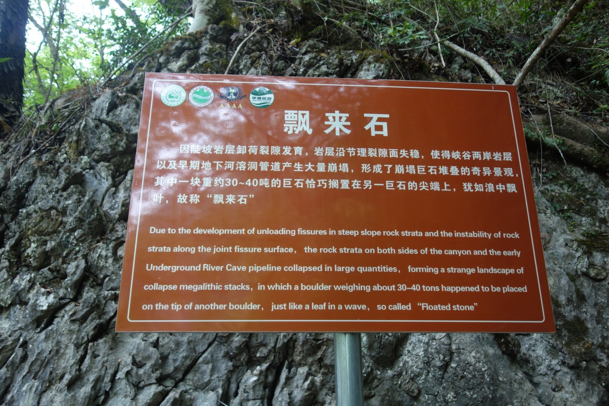 DSC08591.JPG