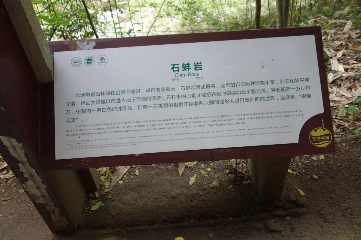 DSC08636.JPG