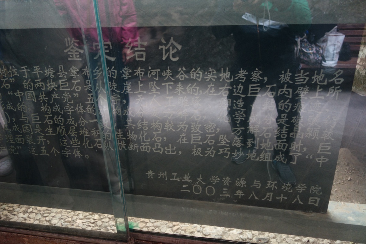 DSC08612.JPG