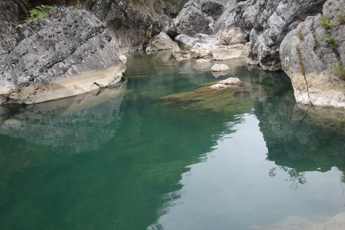 DSC08589.JPG