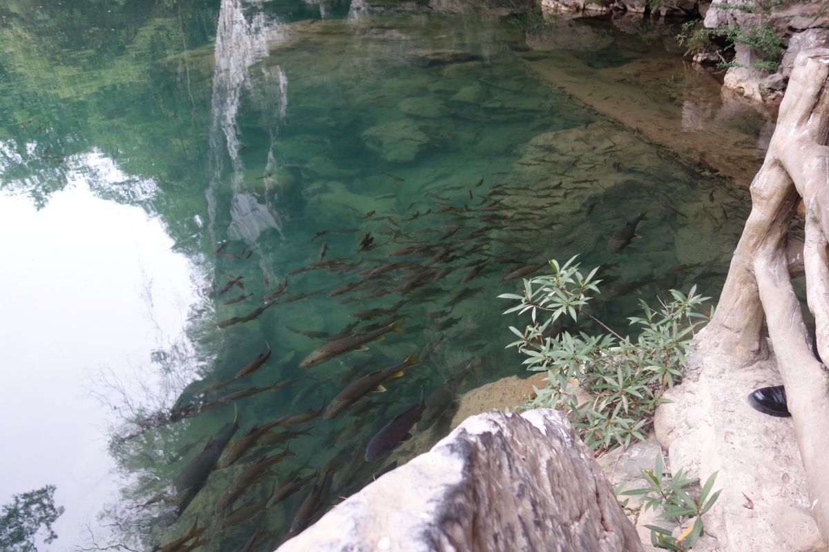 DSC08625.JPG