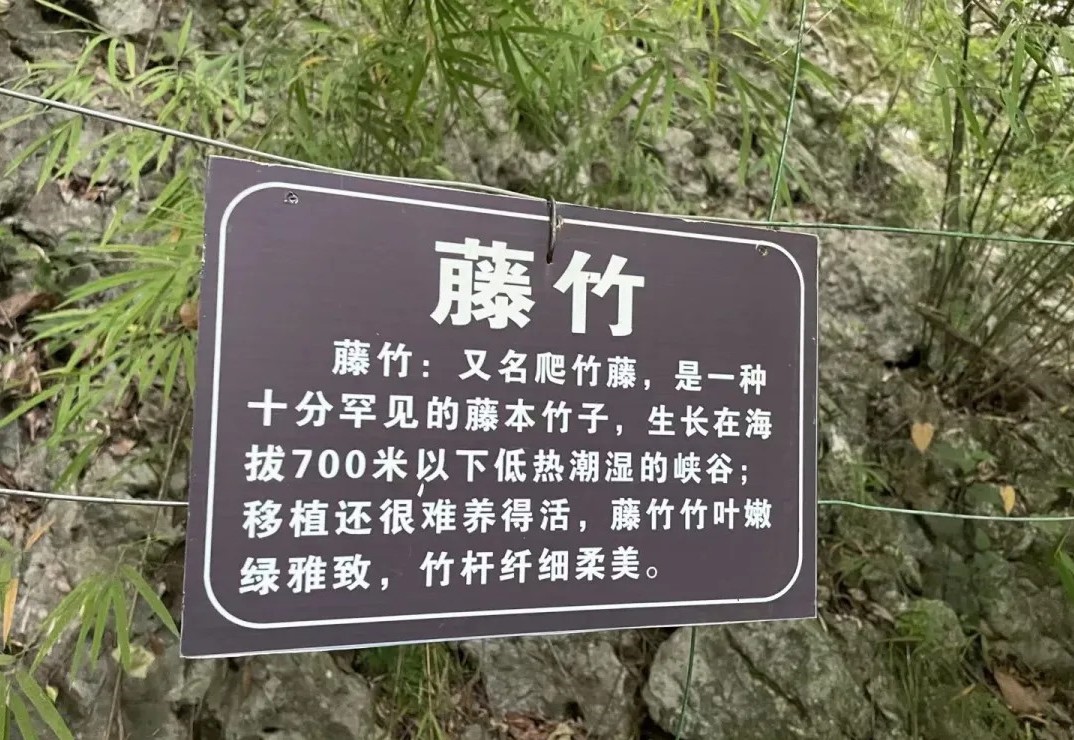 640 (11).jpg