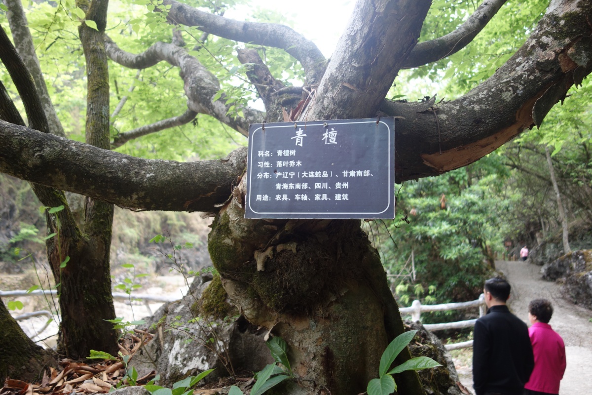 DSC08584.JPG