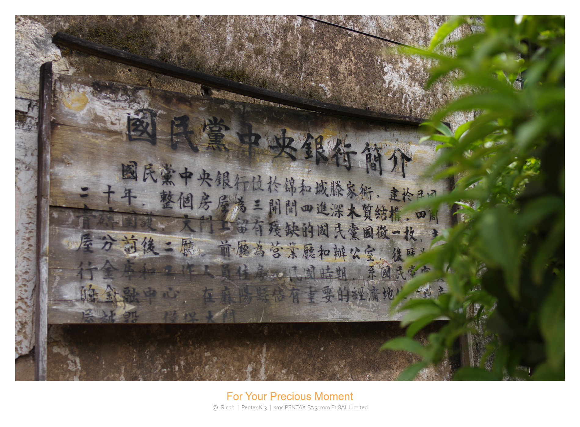 IMGP6025.jpg
