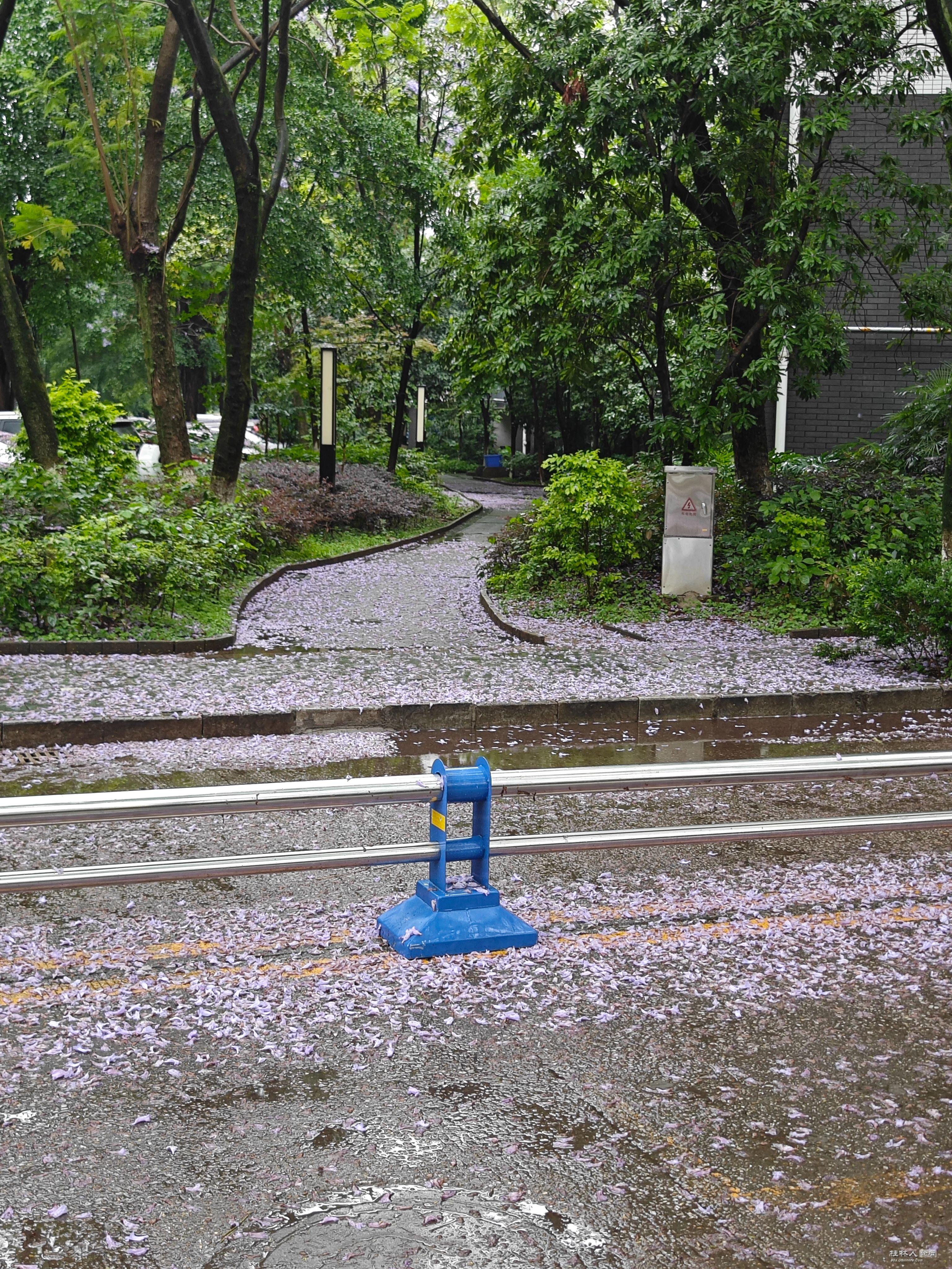 ΢ͼƬ_20250516090353.jpg