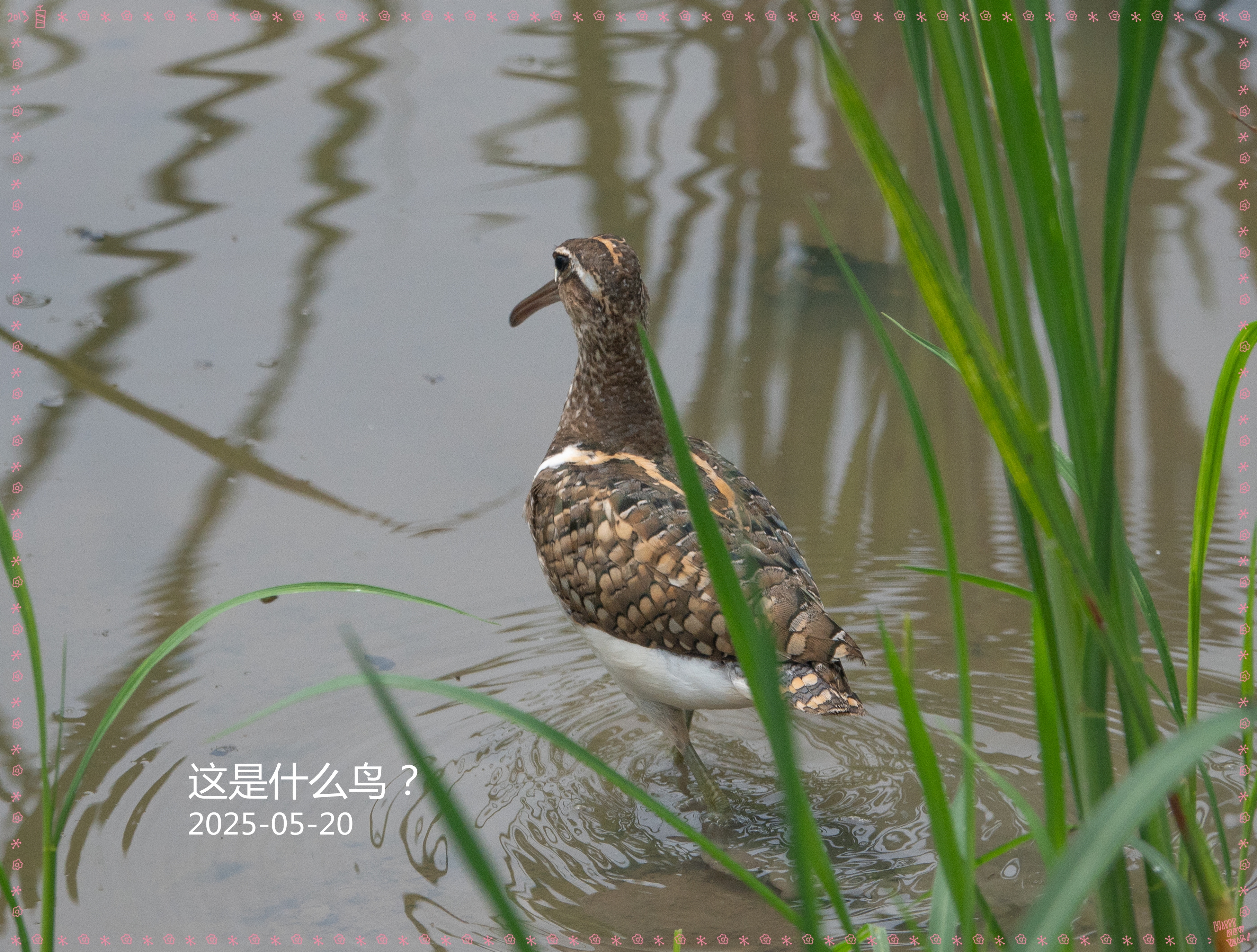 DSC03835_.jpg