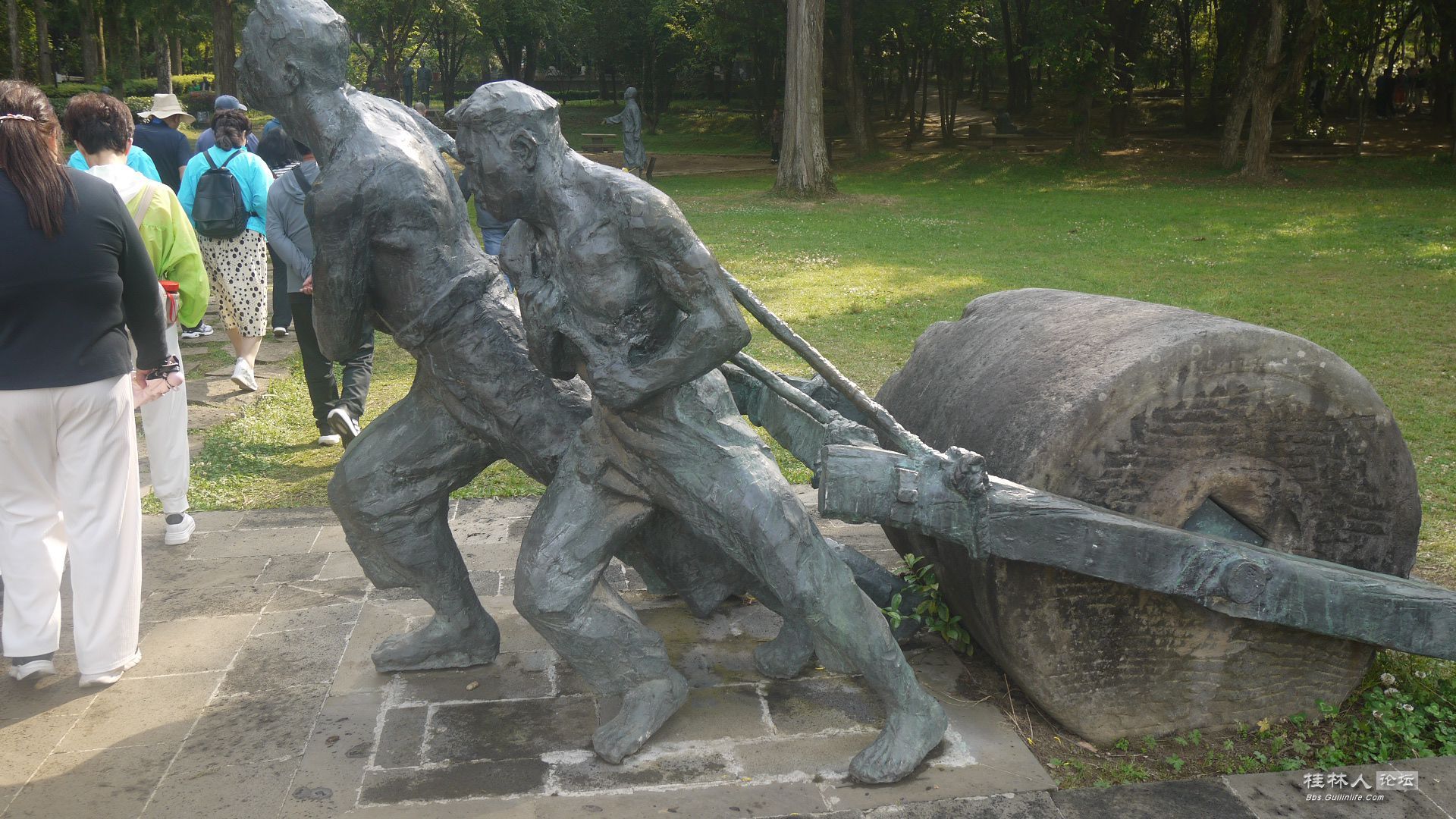 P1180127_.jpg