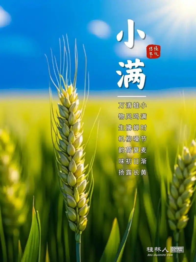 u=4276290131,3578816224&fm=253&fmt=auto&app=138&f=JPEG_ͼ.jpg