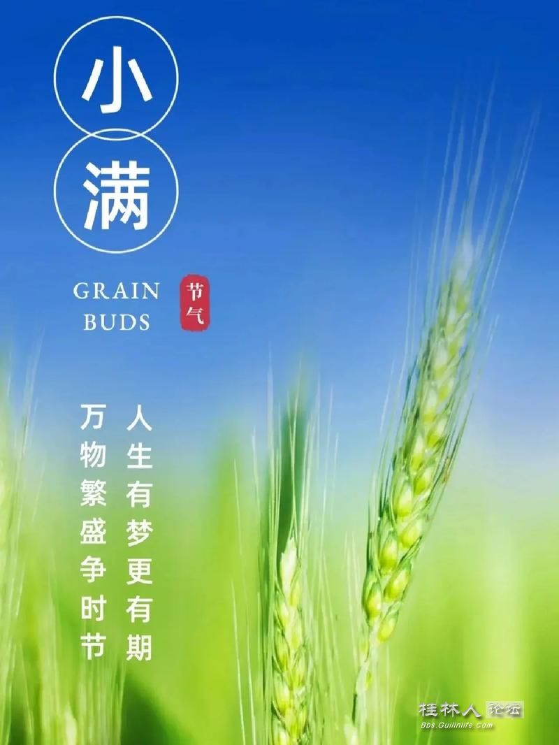 u=3016935476,2819667492&fm=253&app=138&f=JPEG.jpg