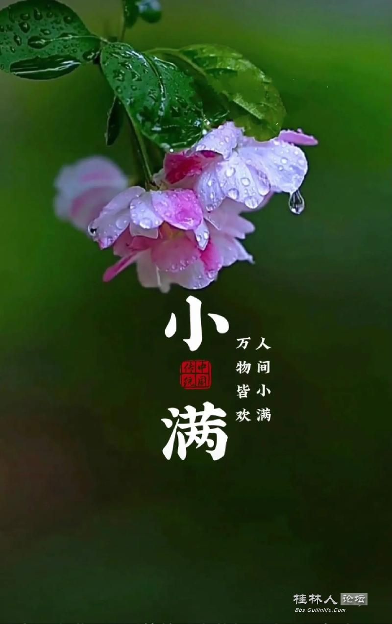 u=47381938,1372082219&fm=253&app=138&f=JPEG.jpg