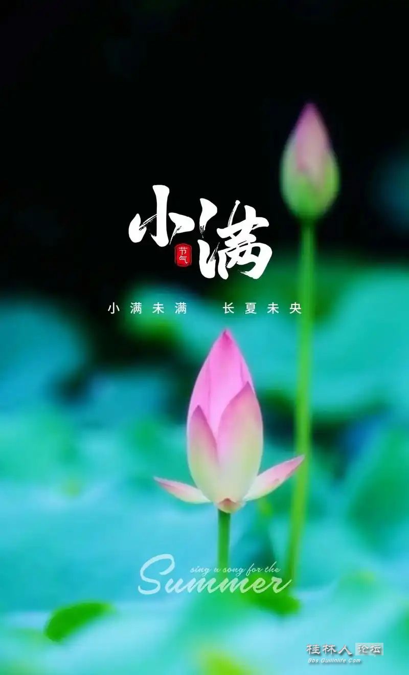 u=1980502594,2484777743&fm=253&fmt=auto&app=138&f=JPEG_ͼ.jpg