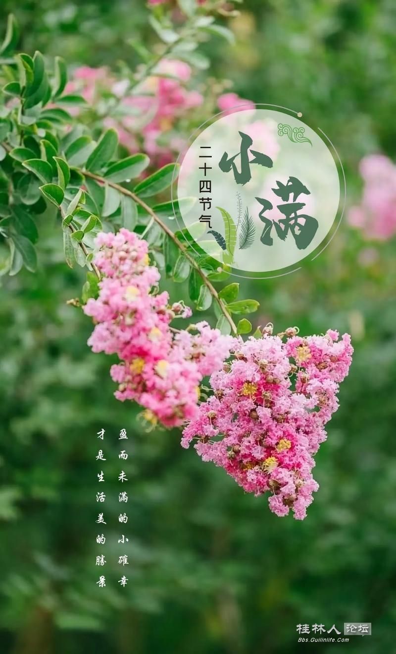 u=772755754,2676095856&fm=253&app=138&f=JPEG.jpg