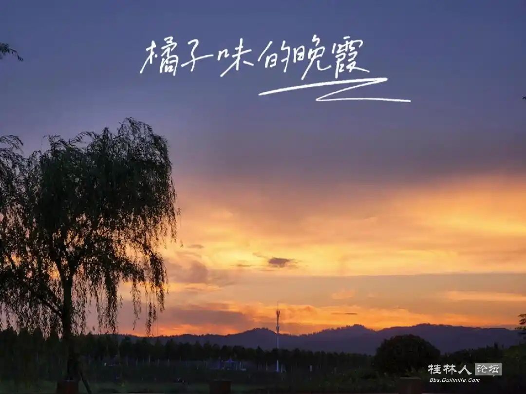 src=http___ci.xiaohongshu.com_01026p01kklj4u7qvb70116228qcpolgv9_imageView2_2_w_.jpg