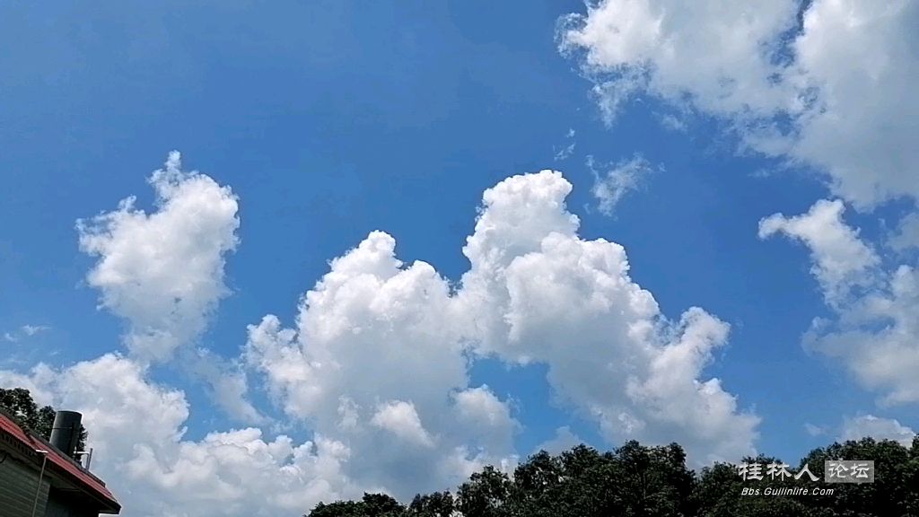 bc46d33e5db436ffcc6bf6b0981e1a7e2cce61e84.jpg