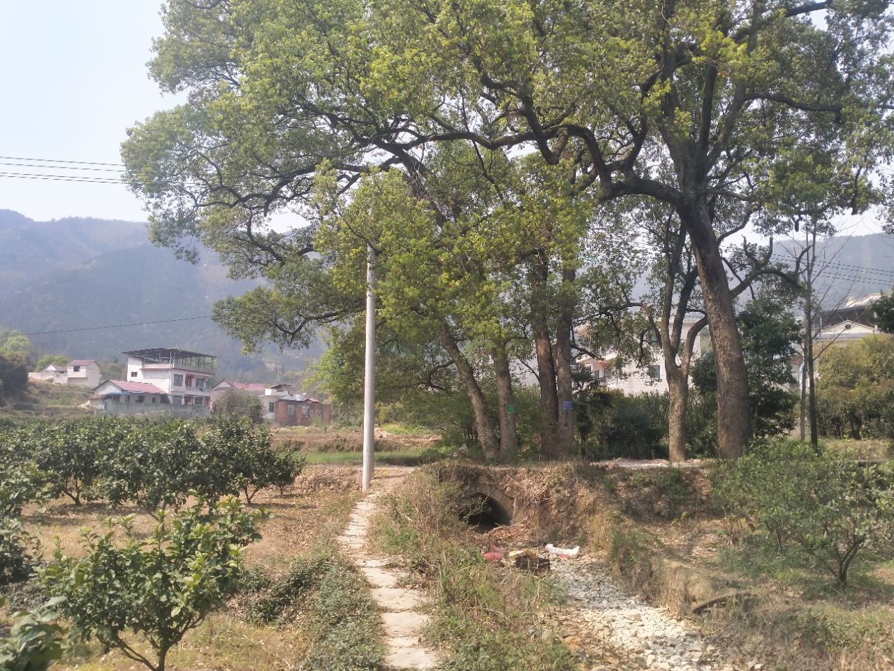 20250527120104front2_0_2251410_FnVIzvwaChU5Suqtq7LsiRrA5_Lz.jpg