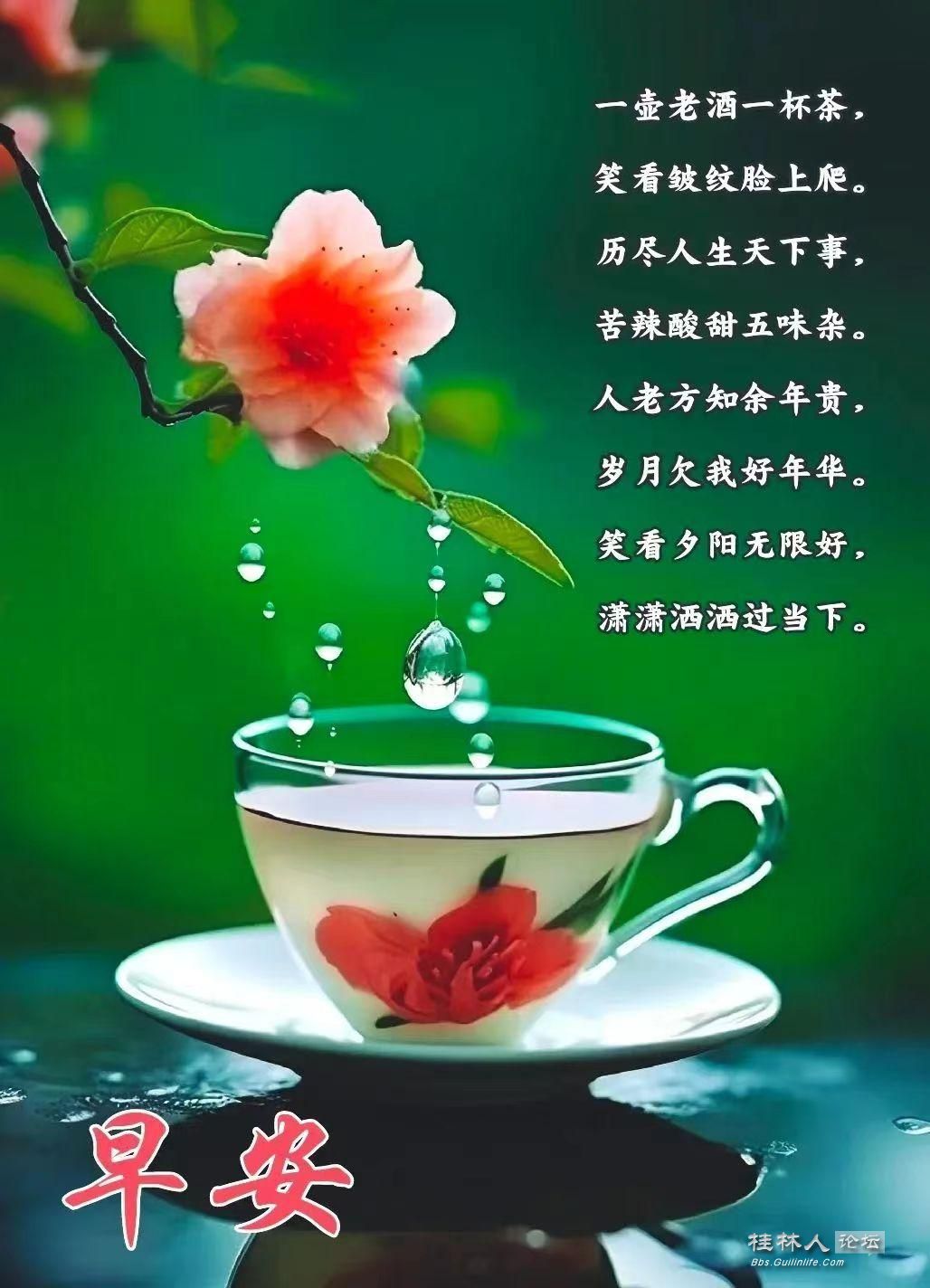 QWfVA4LY_NW-shOTVHnKRgb8f5a68c55b4843b131d3dc98431c1e8.jpg