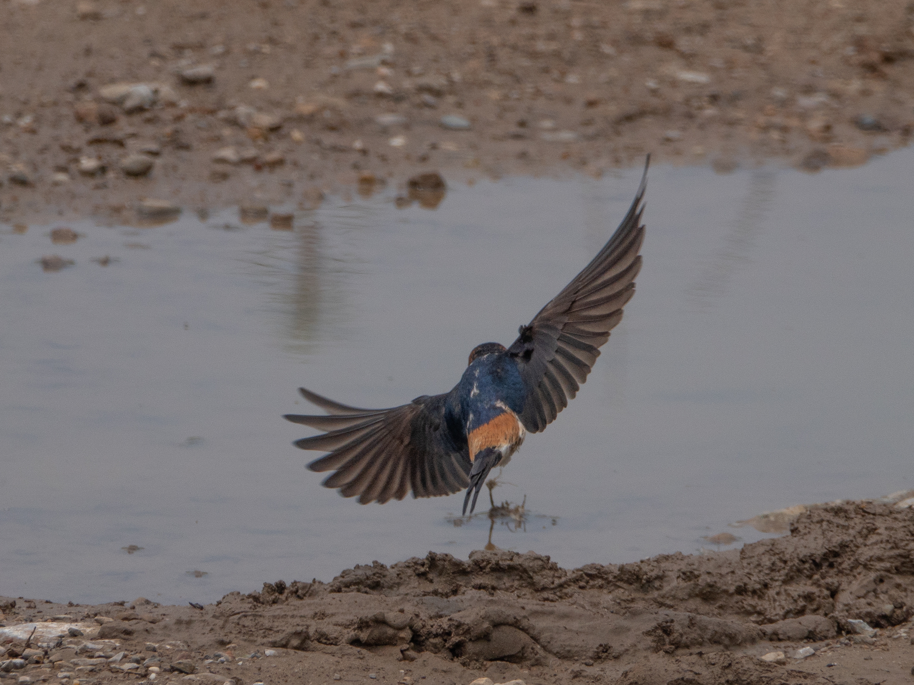 DSC02095_.jpg