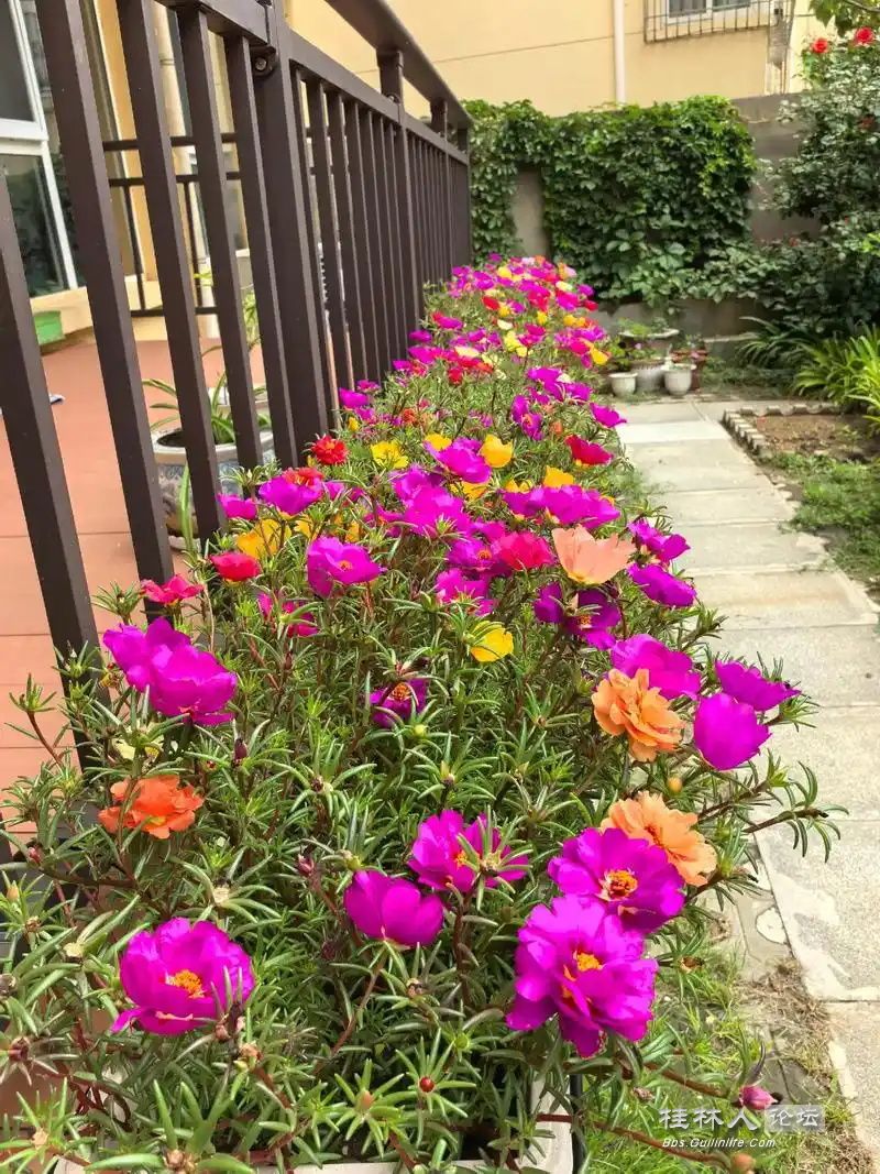 u=3772784616,1826761796&fm=253&fmt=auto&app=138&f=JPEG_ͼ.jpg