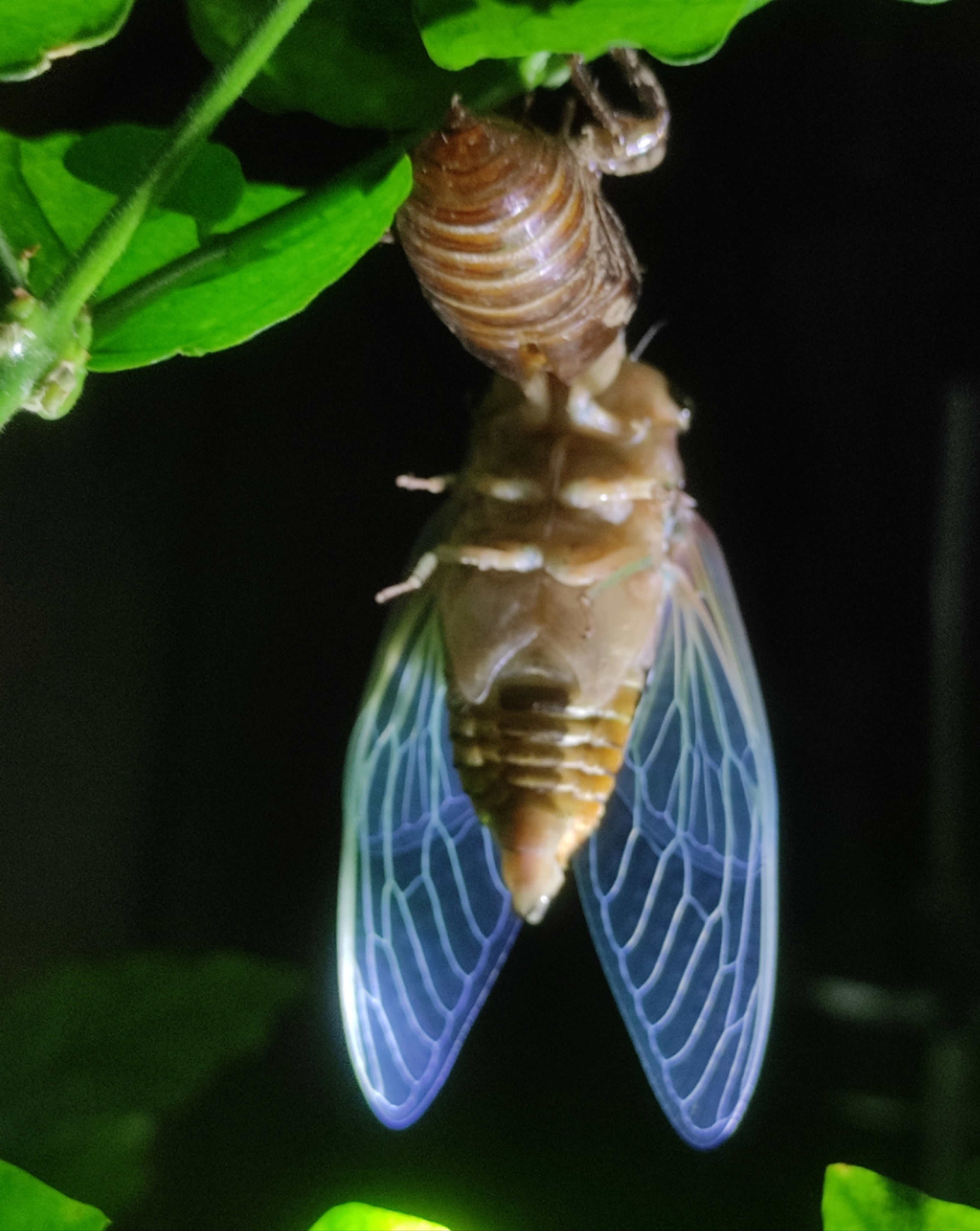΢ͼƬ_20250601222430.jpg