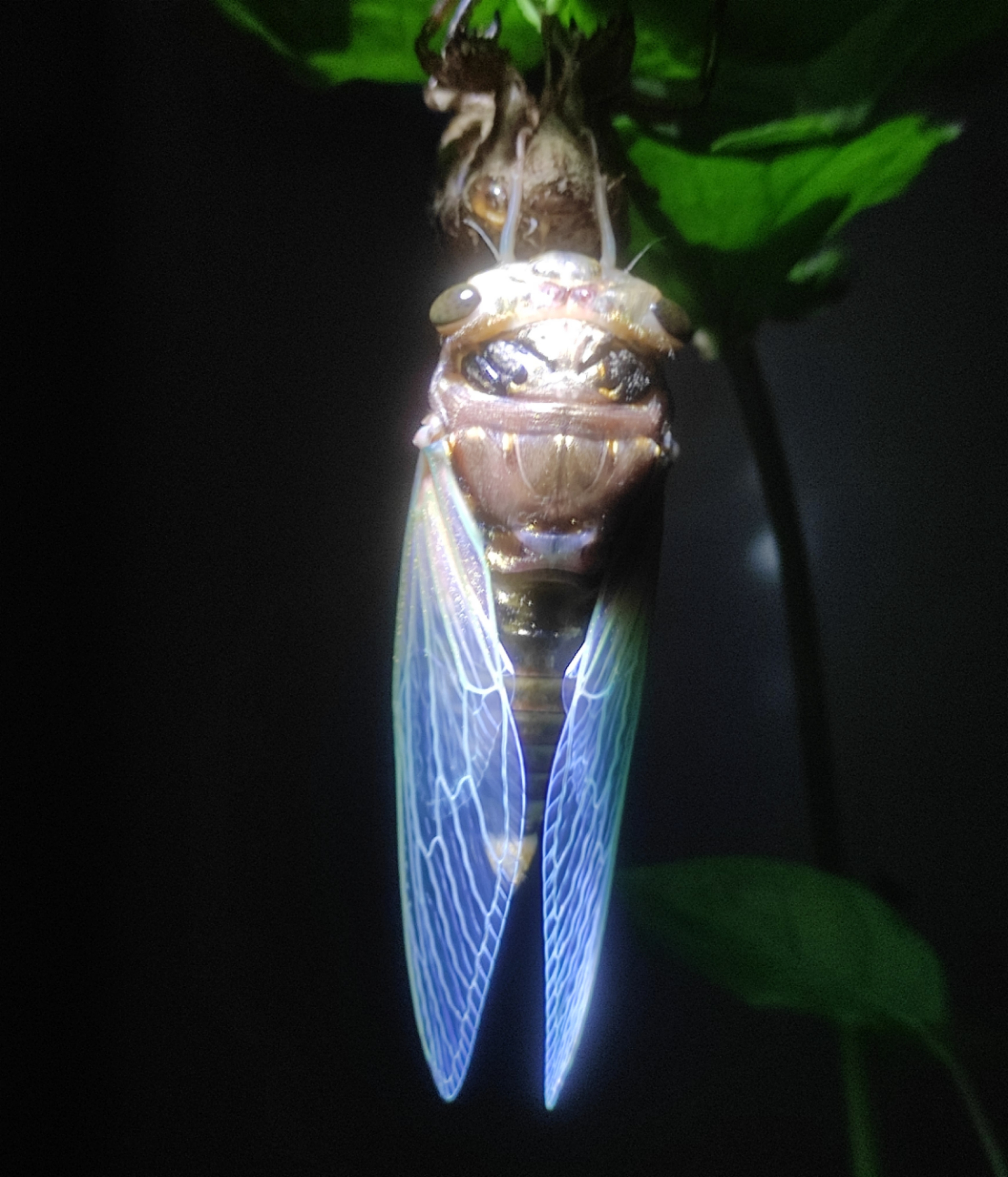 ΢ͼƬ_20250601222435.jpg