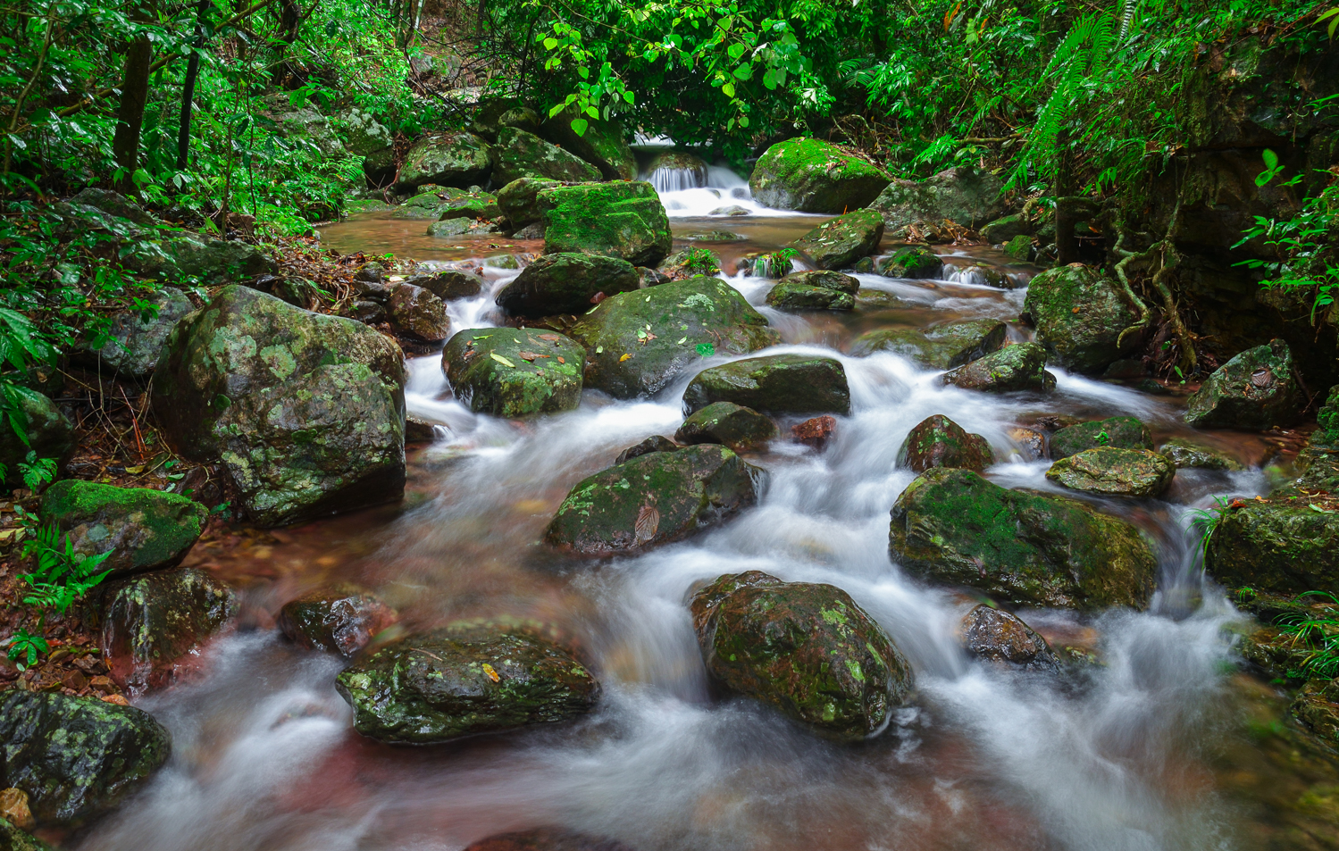 DSC_0204-15.jpg
