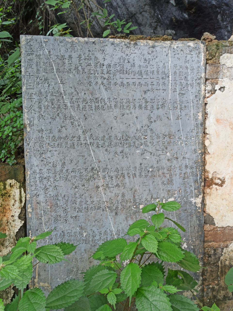20250602212136front2_0_2191032_FrSGiu72sKEBYPA5RcjC8ndlJTqy.jpg