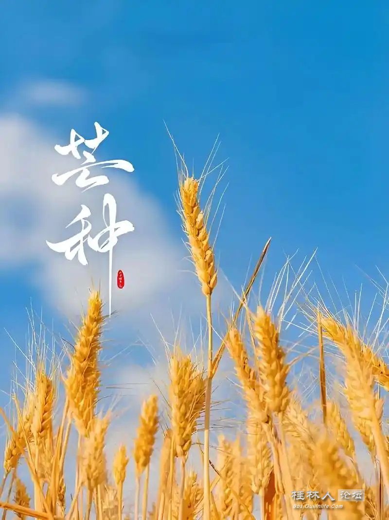 u=623530355,1049284892&fm=253&fmt=auto&app=138&f=JPEG_ͼ.jpg