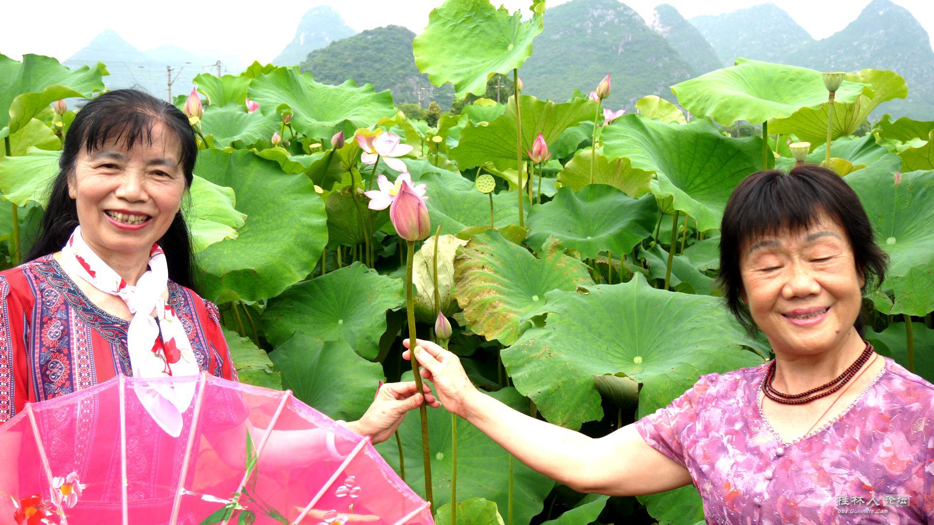 P1180340_.jpg