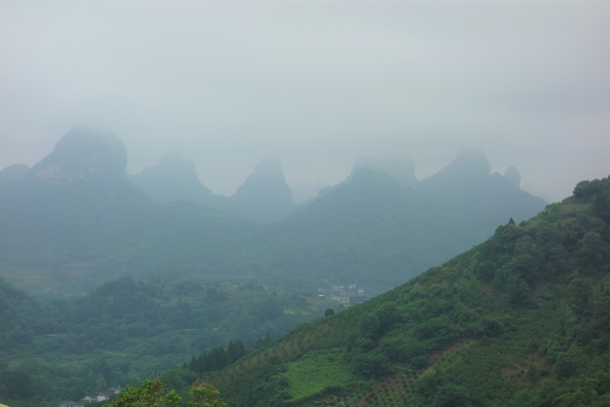 DSC08700.jpg
