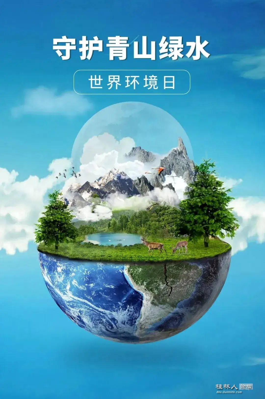 d4dc33d182fb470c954b960ed3221222_ͼ.jpg