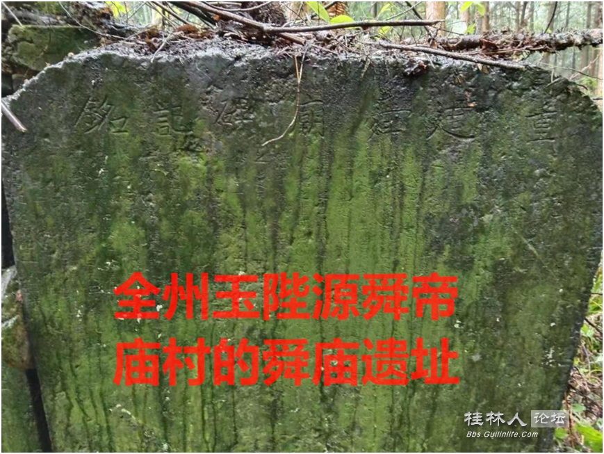 ͼ202506091146395303.png