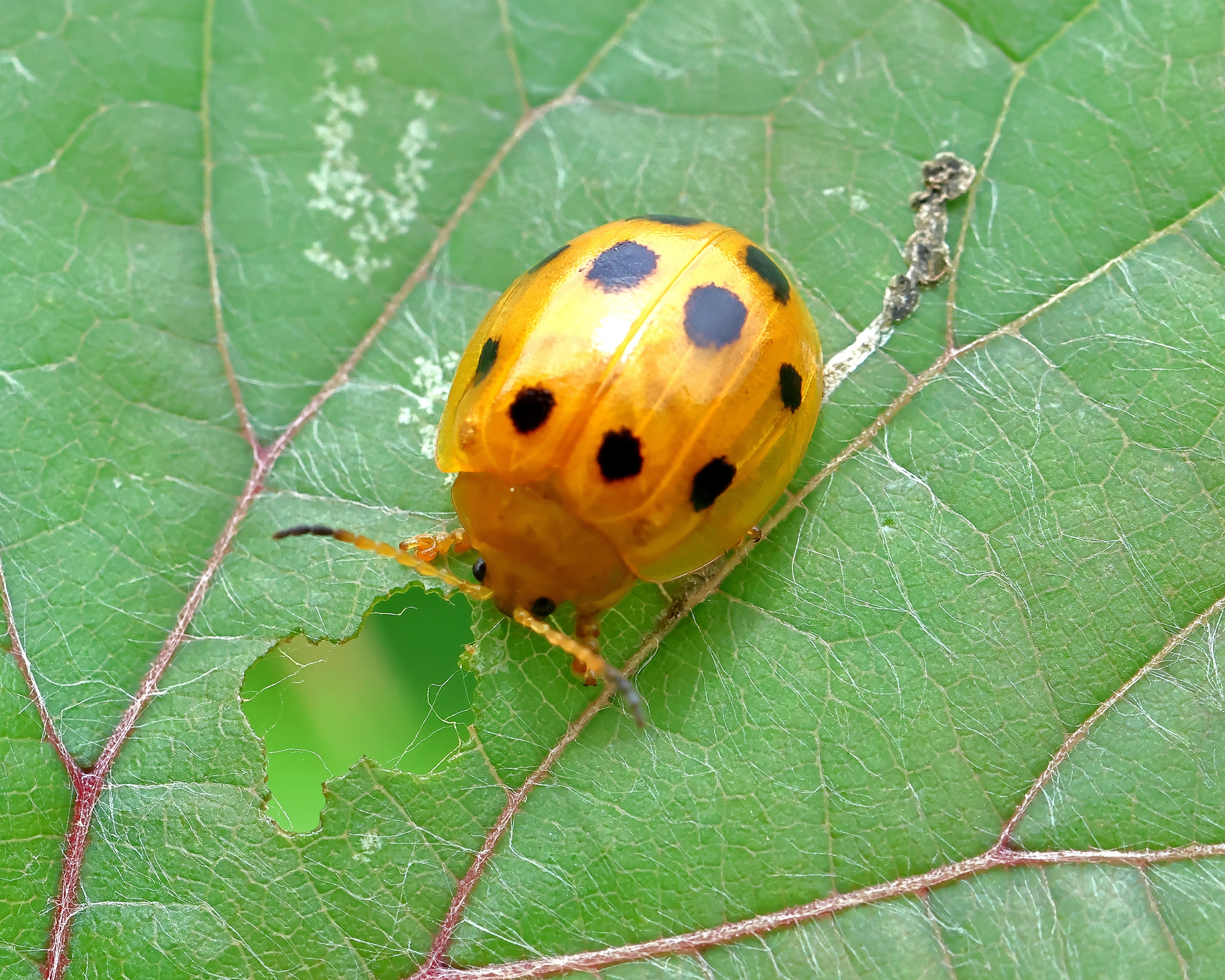 5D2A6203.JPG