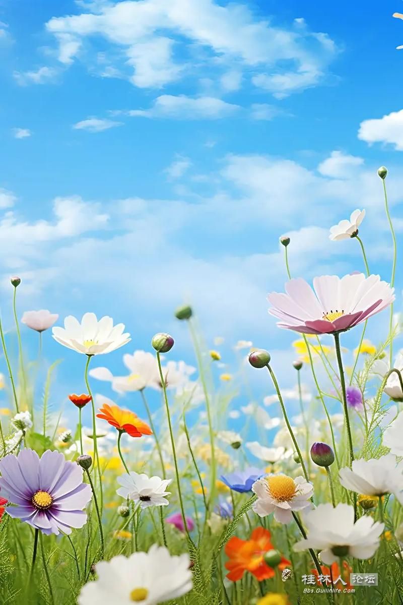 u=185457027,1605887673&fm=253&app=138&f=JPEG.jpg
