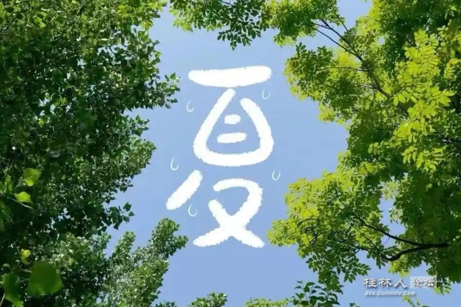 u=1831158030,4169125129&fm=253&fmt=auto&app=120&f=JPEG_ͼ.jpg