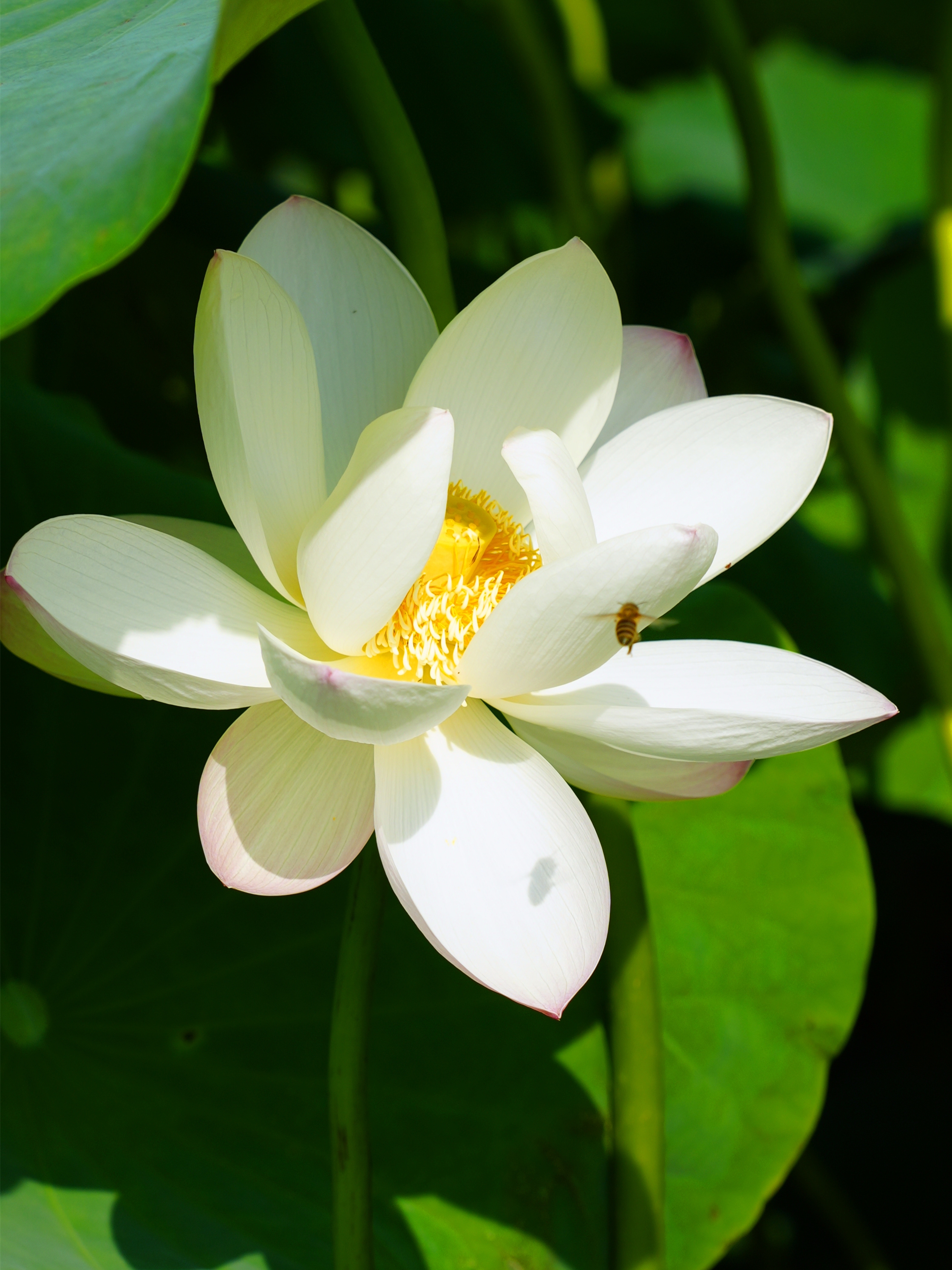 DSC05520_.jpg