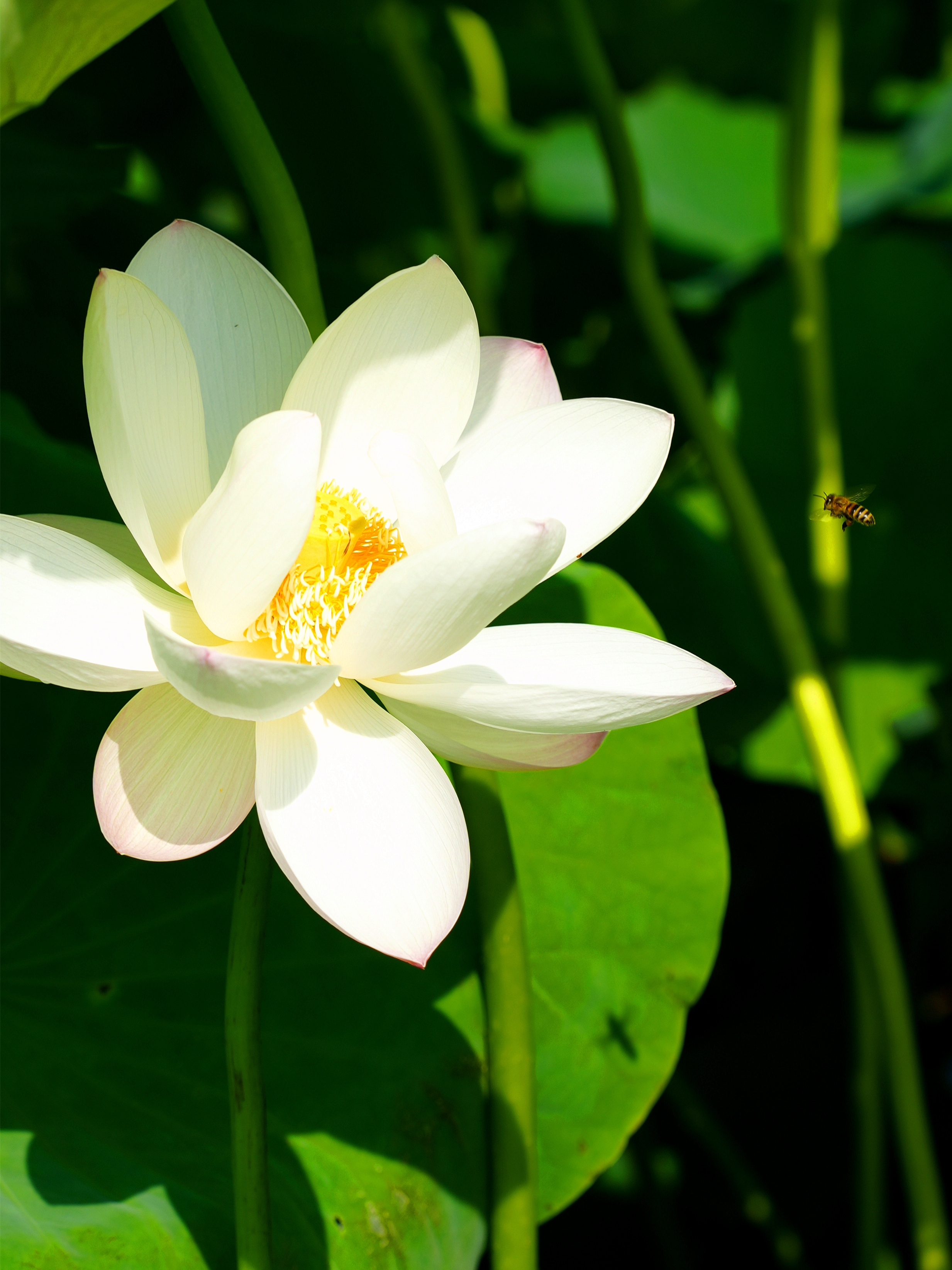 DSC05521_.jpg