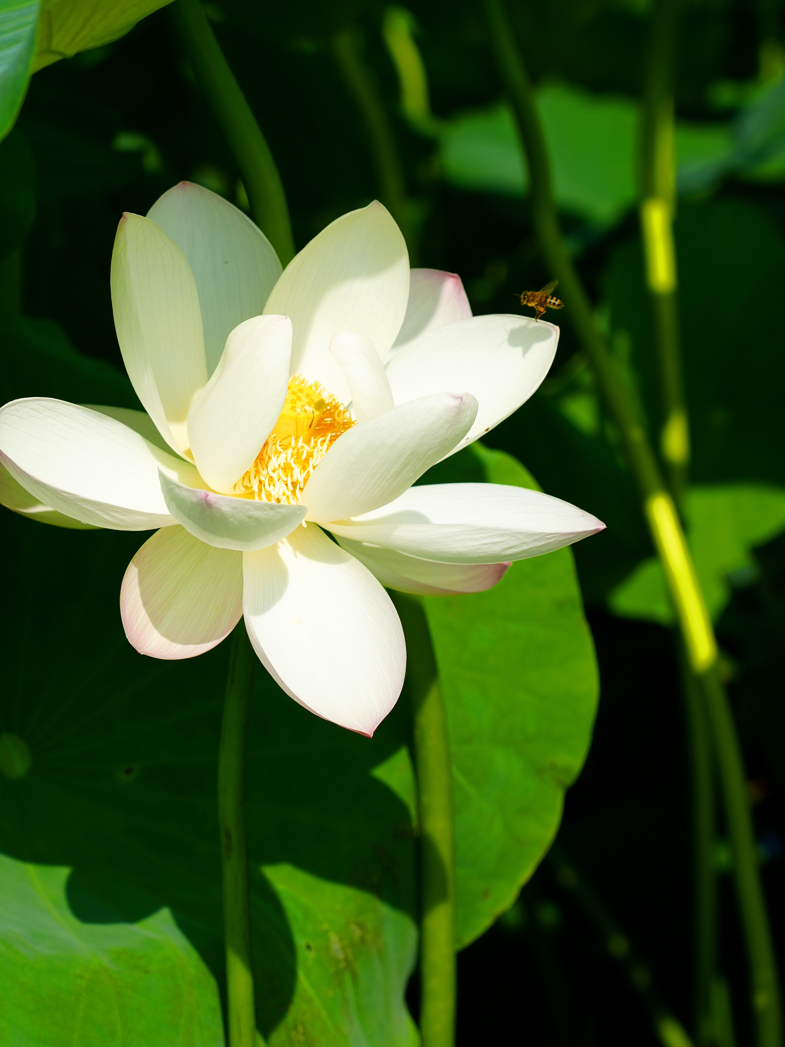 DSC05522_.jpg