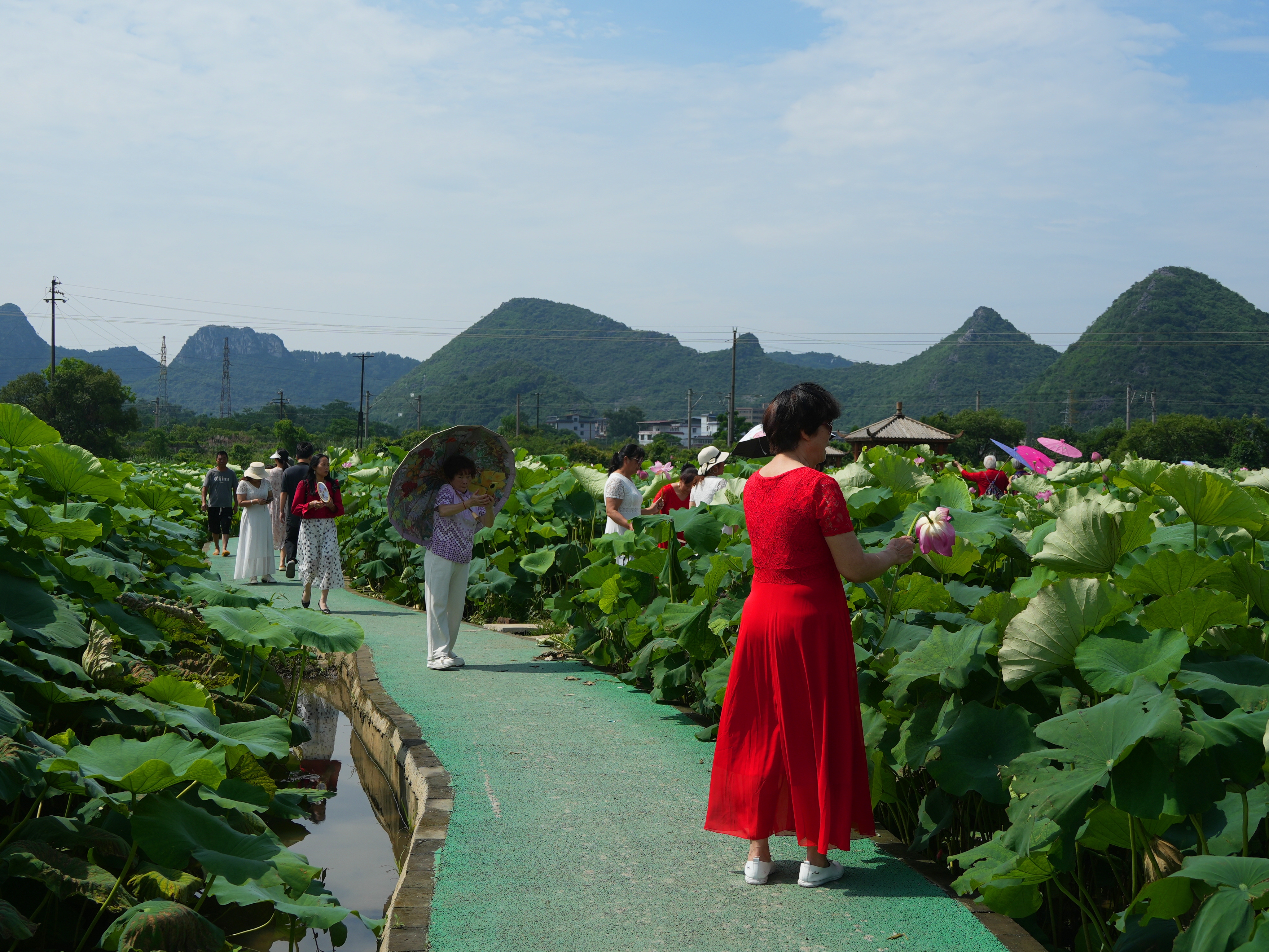 DSC05586_.jpg