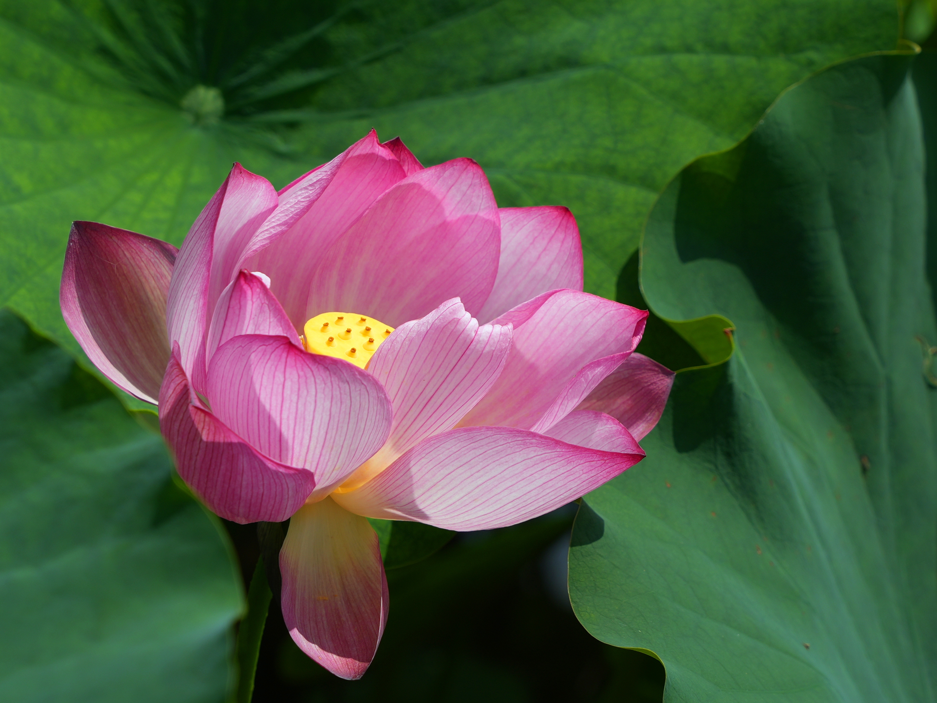 DSC05599_.jpg