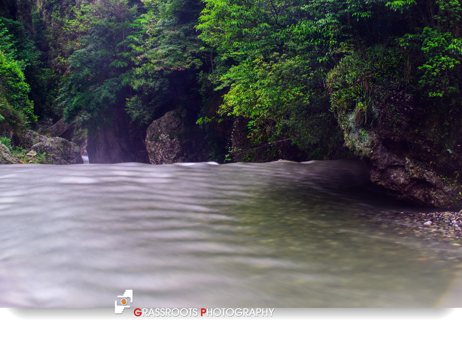 _DSC4339a_.jpg