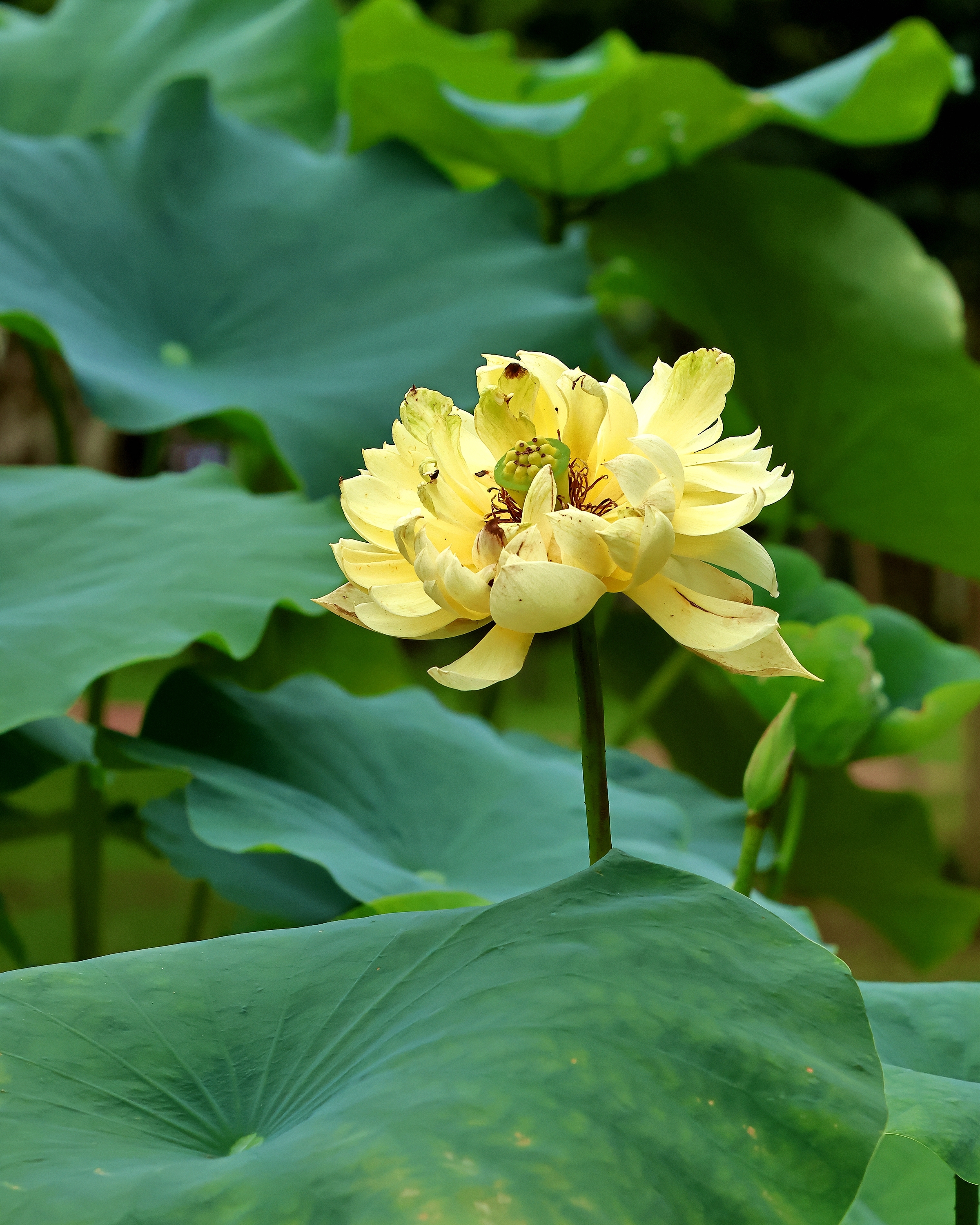 5D2A6869_.jpg