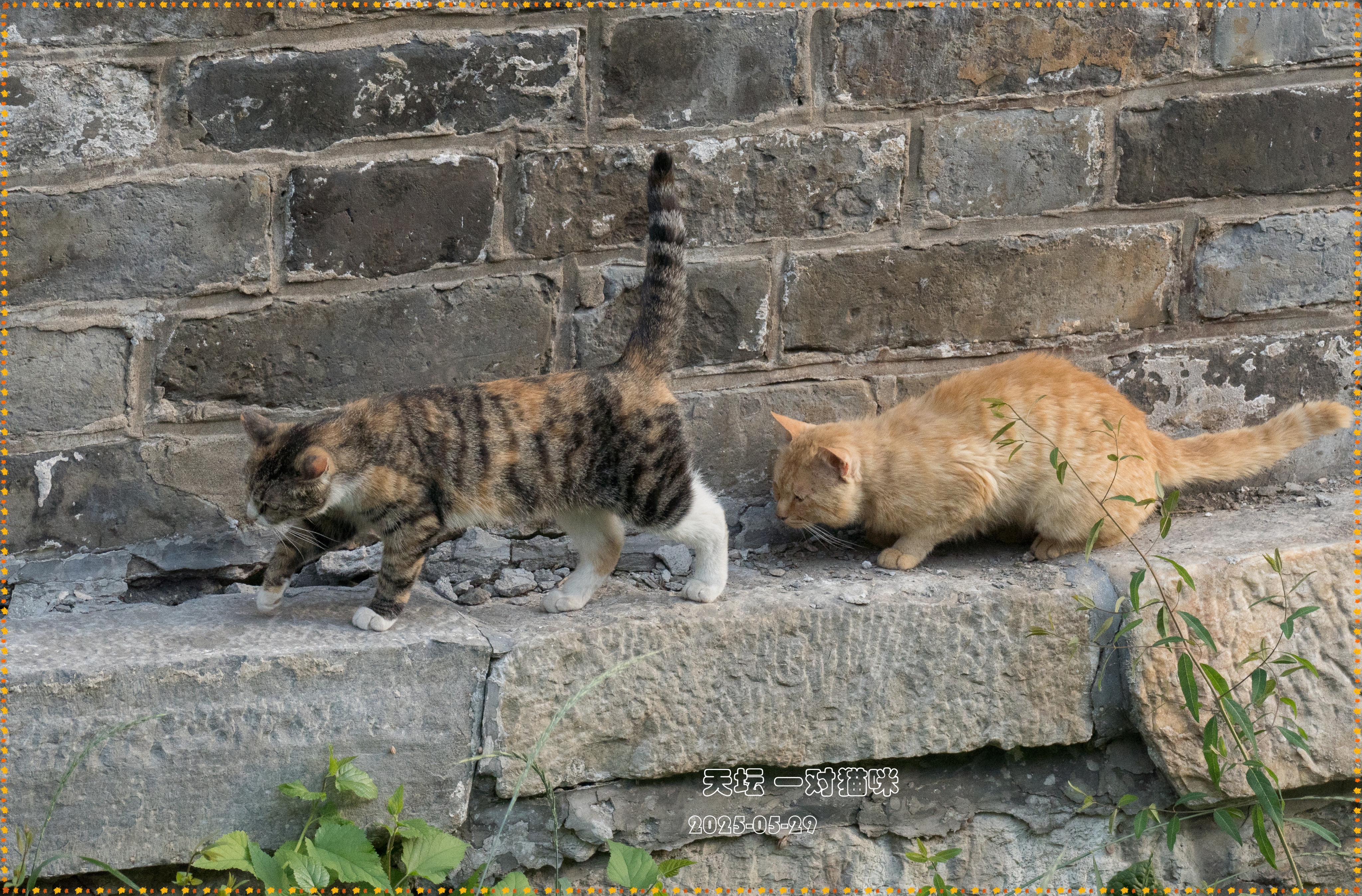 DSC05473__.jpg